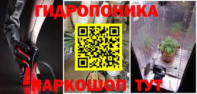 гашик Сланцы