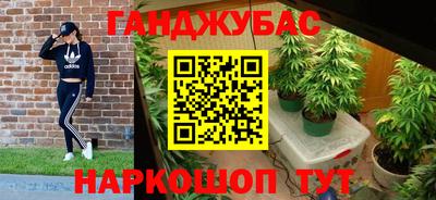гашик Сланцы